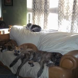 Meet your Posher, Donna